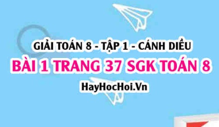 Giải bài 1 trang 37 Toán 8 Tập 1 SGK Cánh Diều